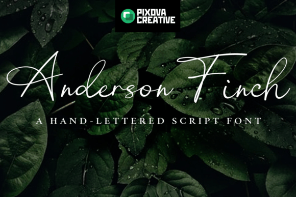 Anderson Finch: A Script Font for Thoughtful Typography