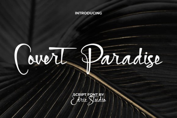 Covert Paradise Font Review