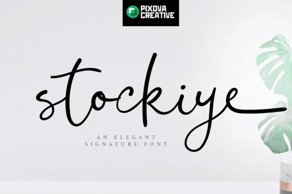 Stockiye: A Script Font for Creative Marketing