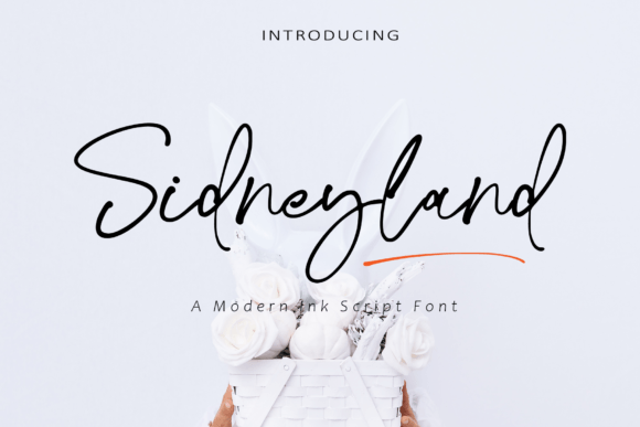 Use Sidneyland for Professional Branding
